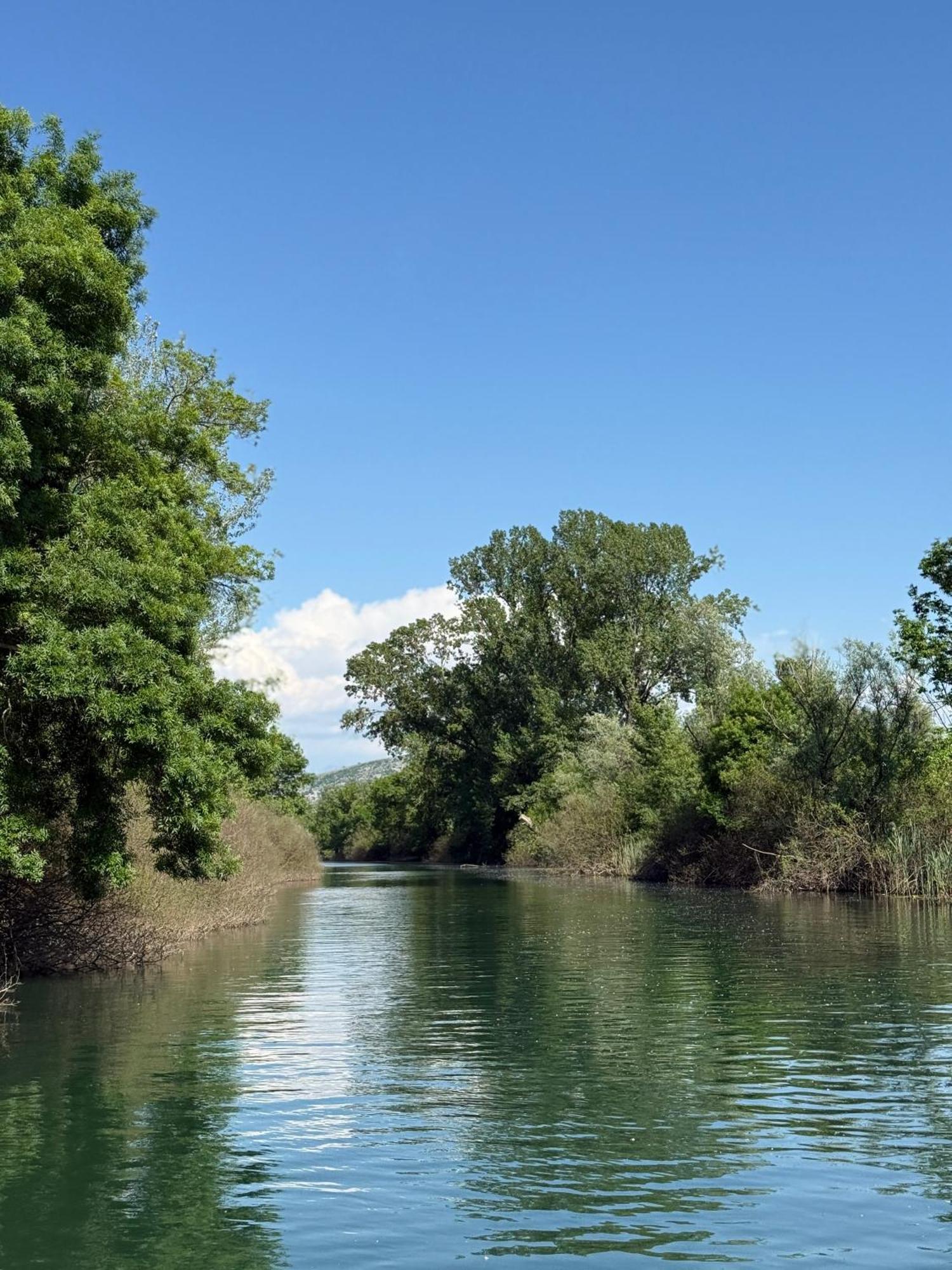Lake Skadar Paradise Dodosi Экстерьер фото